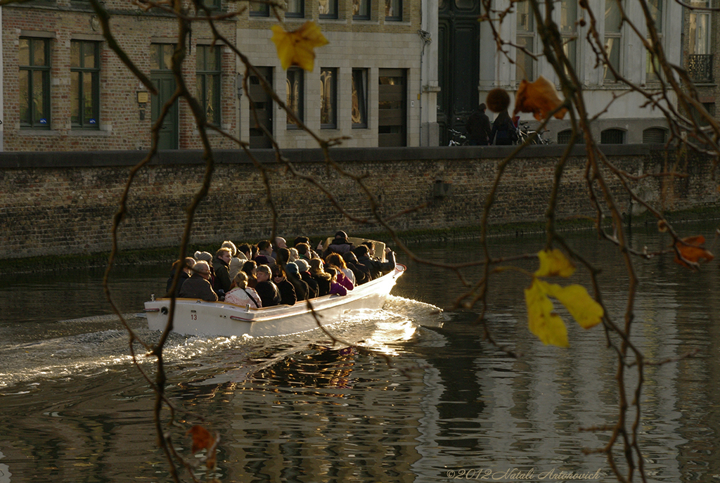 Album  "Image without title" | Photography image " Bruges" by Natali Antonovich in Photostock.