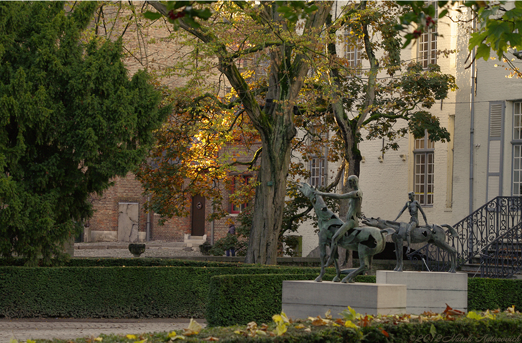 Album "Afbeelding zonder titel" | Fotografie afbeelding " Brugge" door Natali Antonovich in Archief/Foto Voorraad.