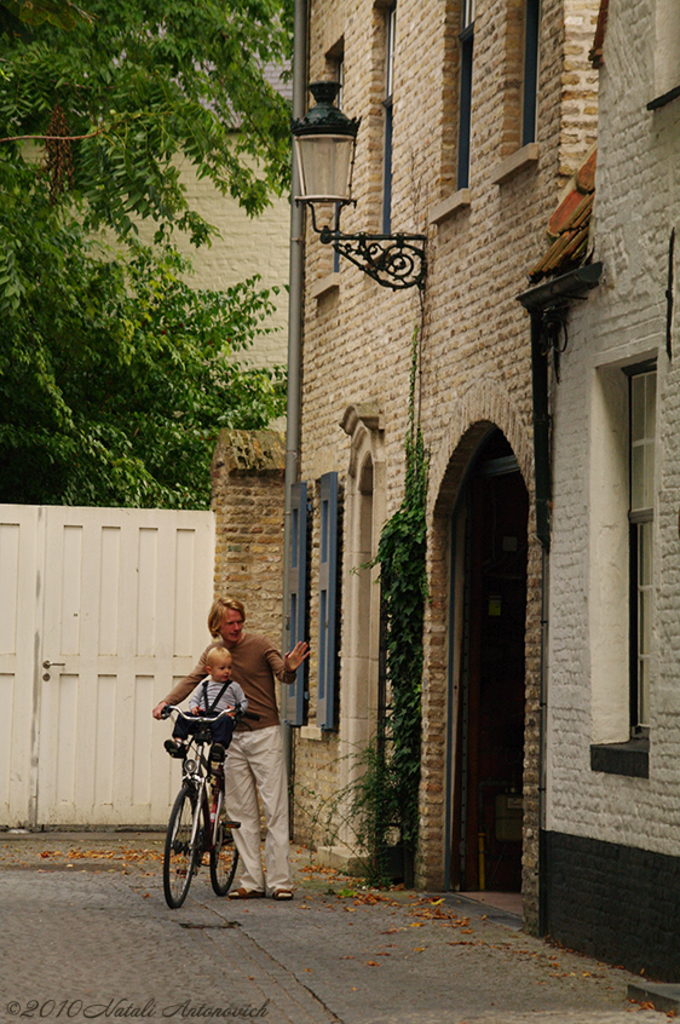 Album "Afbeelding zonder titel" | Fotografie afbeelding " Brugge" door Natali Antonovich in Archief/Foto Voorraad.