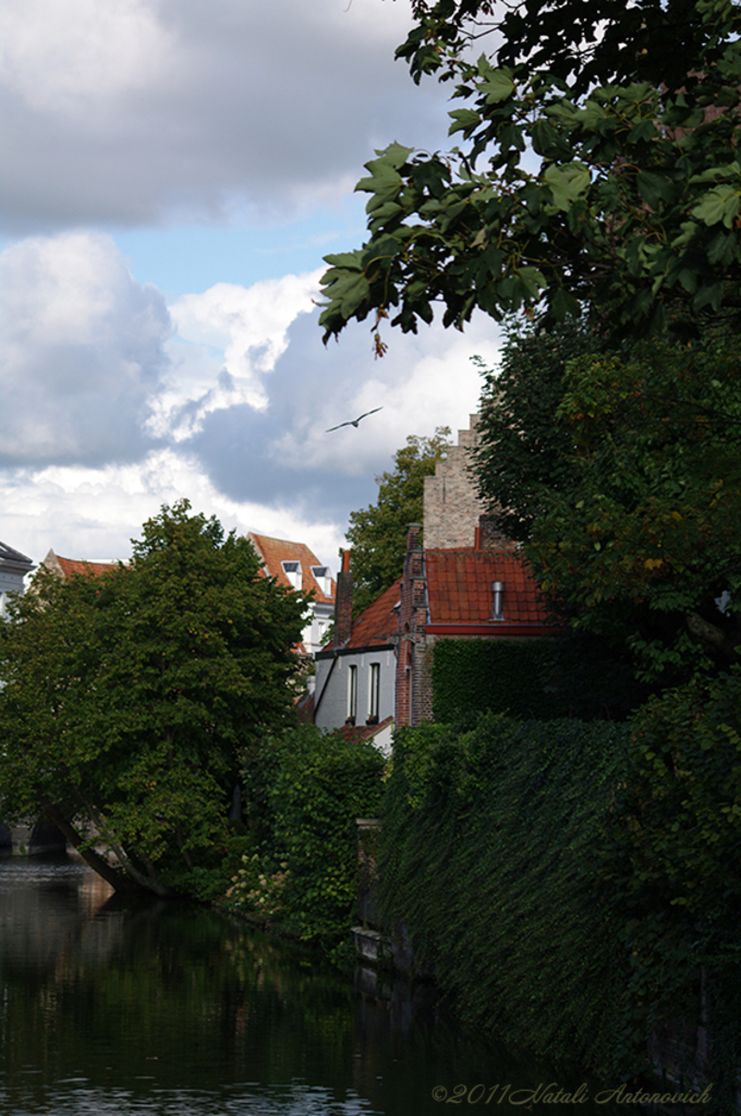 Album "Afbeelding zonder titel" | Fotografie afbeelding " Brugge" door Natali Antonovich in Archief/Foto Voorraad.