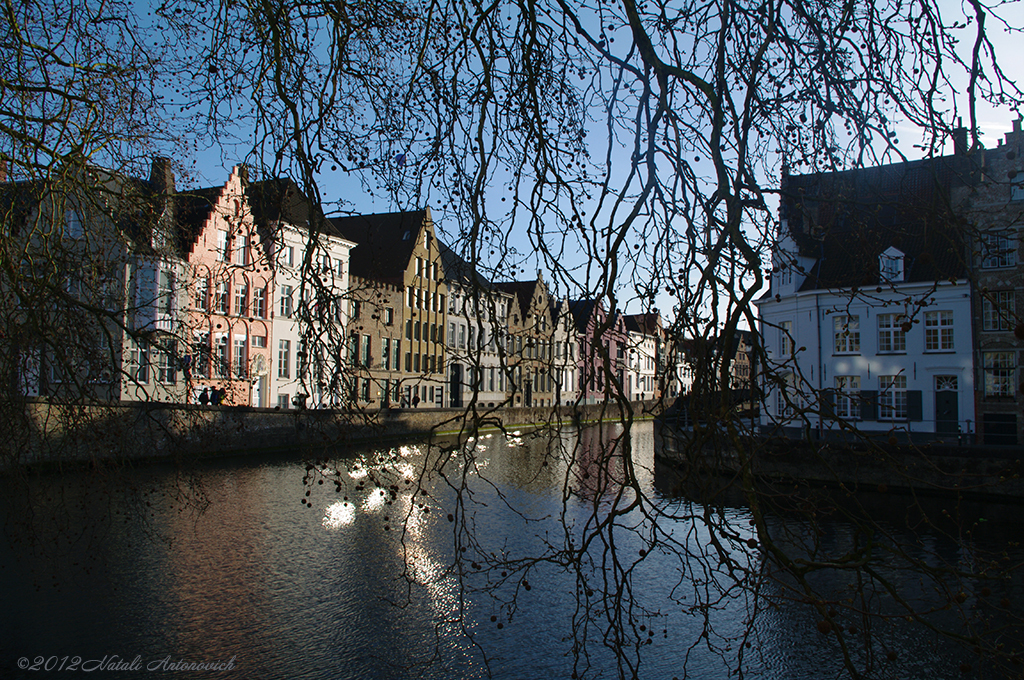 Album "Afbeelding zonder titel" | Fotografie afbeelding " Brugge" door Natali Antonovich in Archief/Foto Voorraad.
