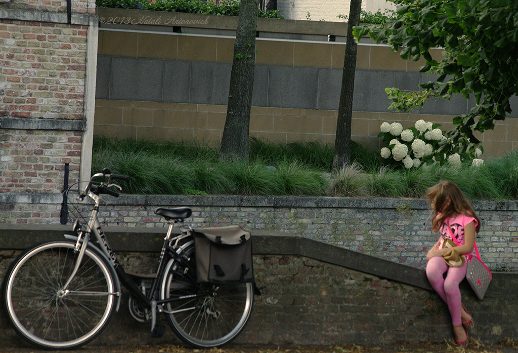 Fotografie afbeelding "Afbeelding zonder titel" door Natali Antonovich | Archief/Foto Voorraad.