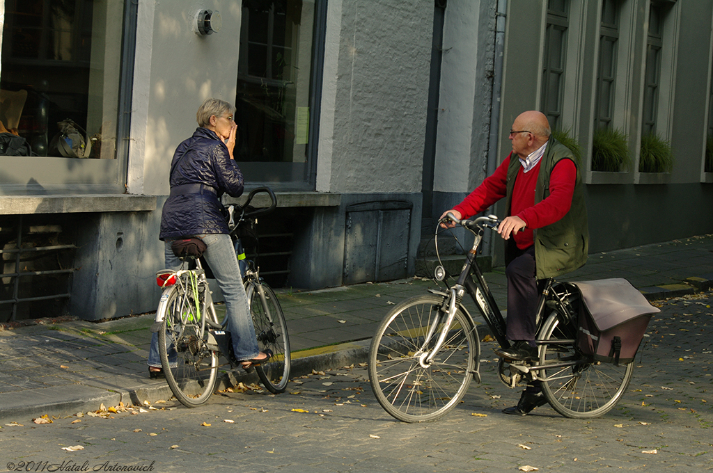 Album "Afbeelding zonder titel" | Fotografie afbeelding " Brugge" door Natali Antonovich in Archief/Foto Voorraad.