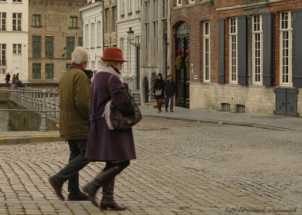 Album "Afbeelding zonder titel" | Fotografie afbeelding " Brugge" door Natali Antonovich in Archief/Foto Voorraad.