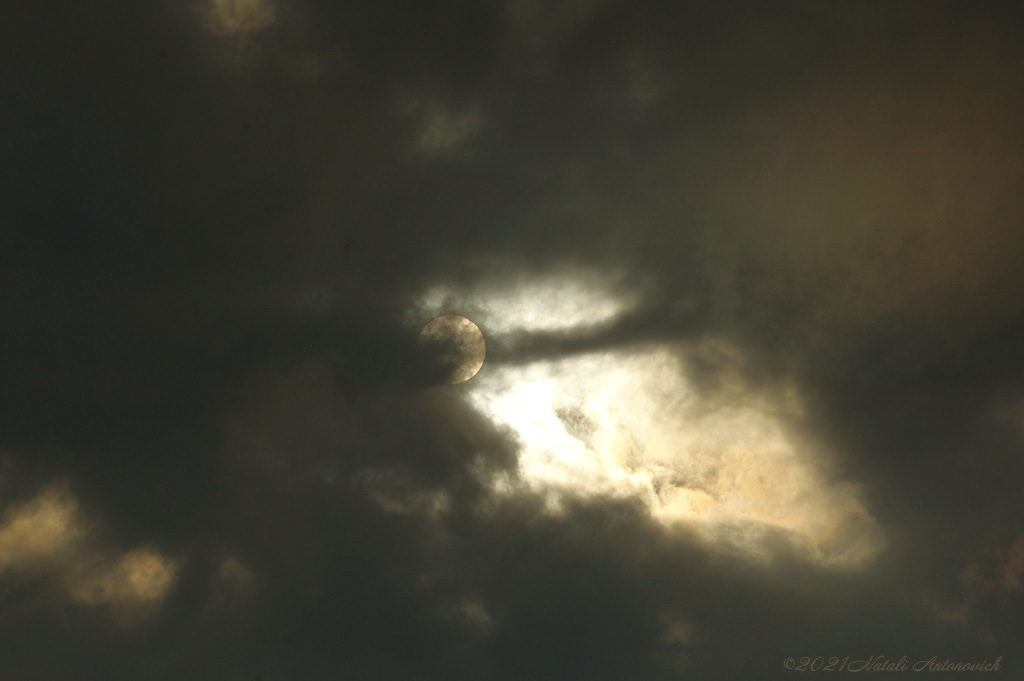 Альбом "Изображение без названия" | Фотография "Celestial mood" от Натали Антонович в Архиве/Банке Фотографий