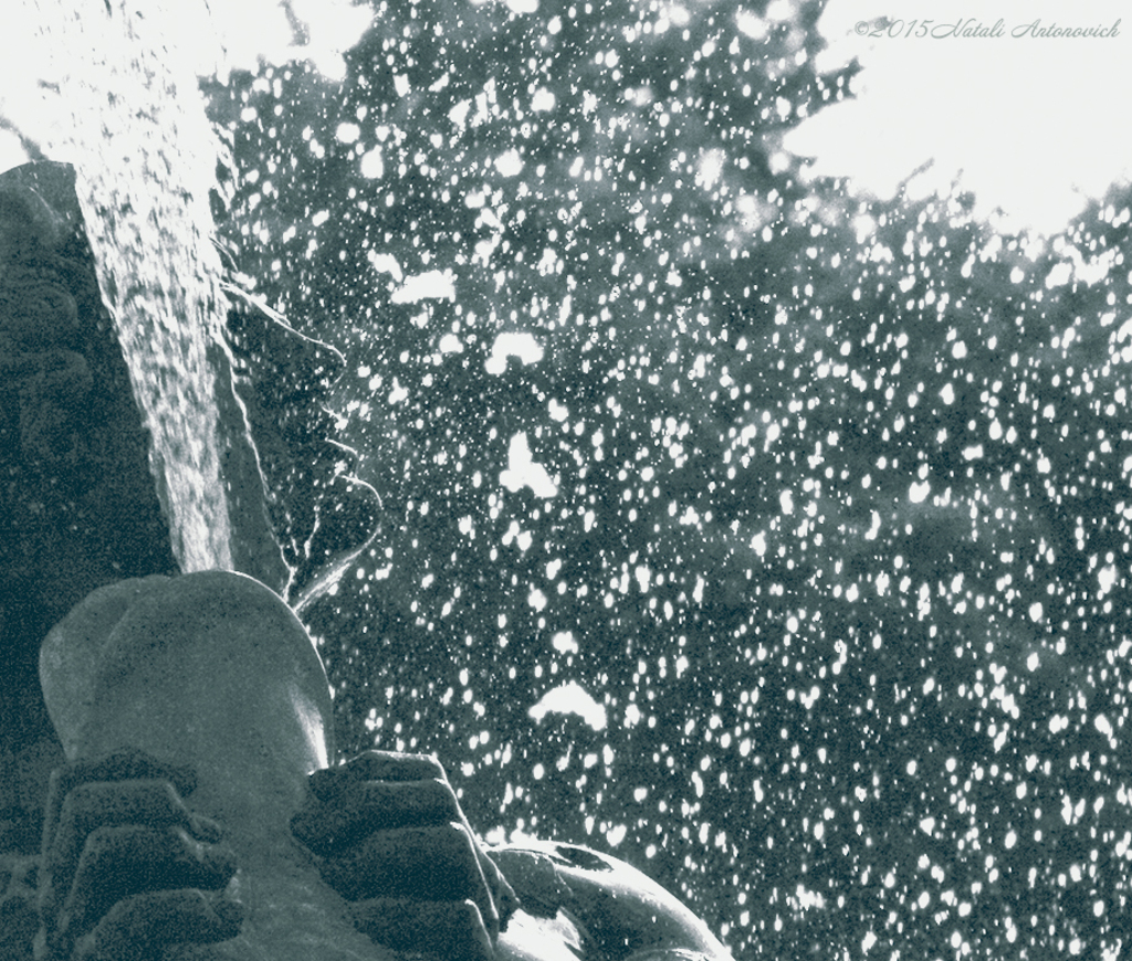 Альбом "Изображение без названия" | Фотография "Франция" от Натали Антонович в Архиве/Банке Фотографий