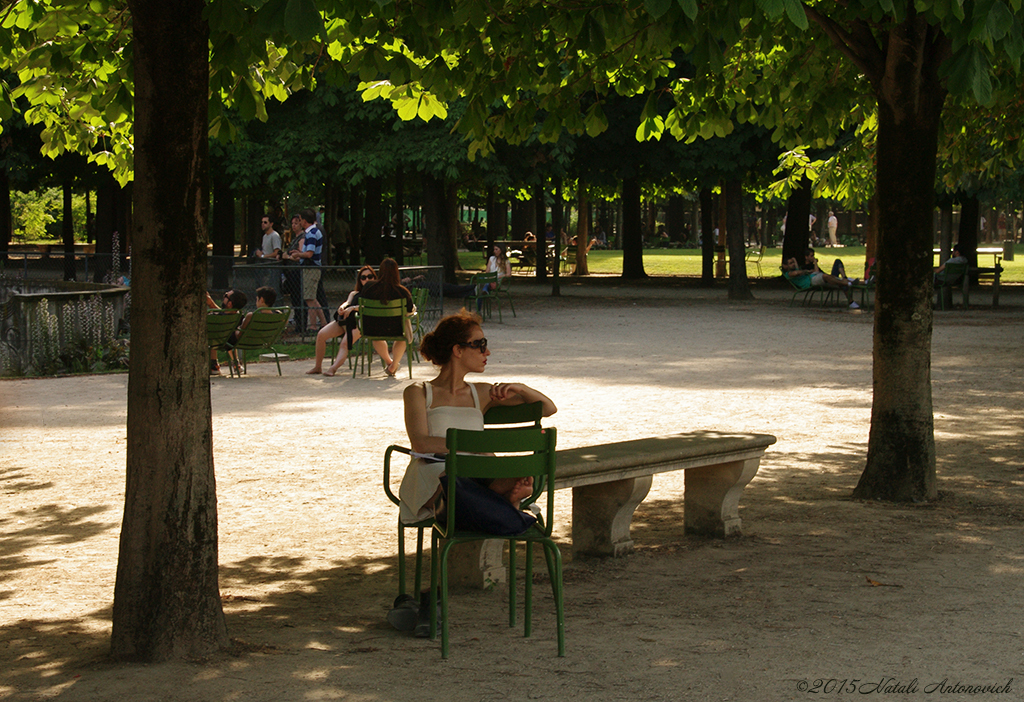 Album "Image sans titre" | Image de photographie "France" de Natali Antonovich en photostock.