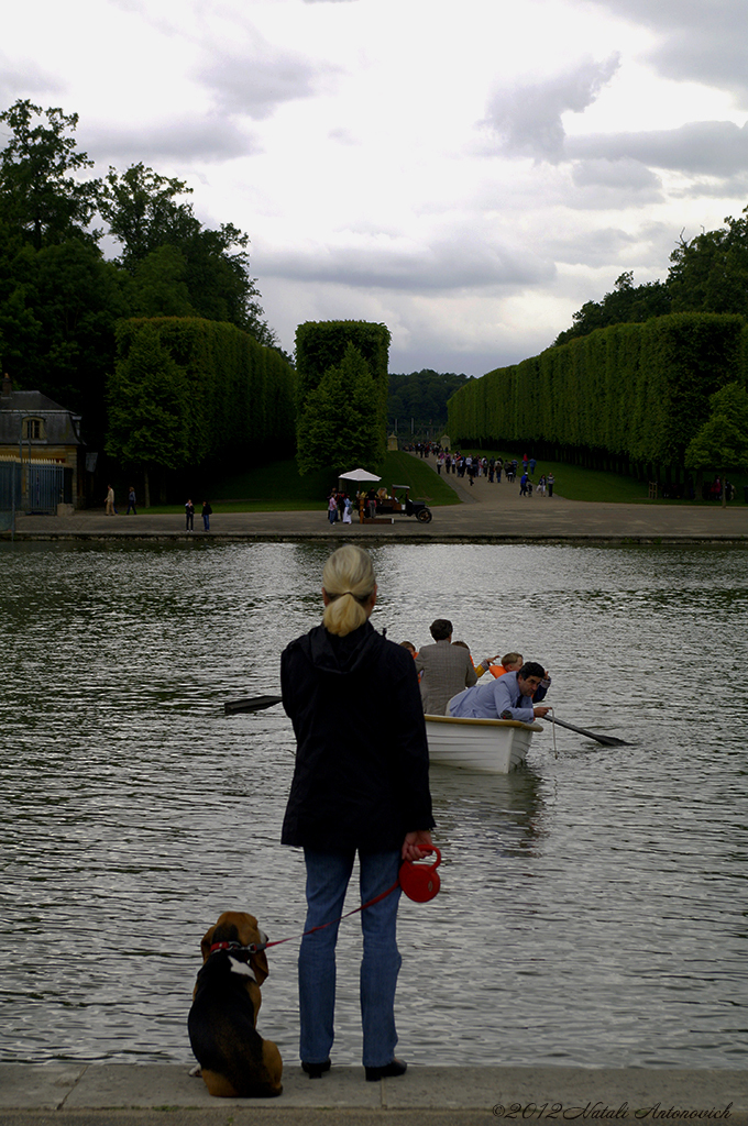 Album "Afbeelding zonder titel" | Fotografie afbeelding "Versailles" door Natali Antonovich in Archief/Foto Voorraad.