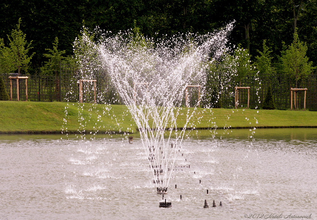 Album  "Image without title" | Photography image "Versailles" by Natali Antonovich in Photostock.