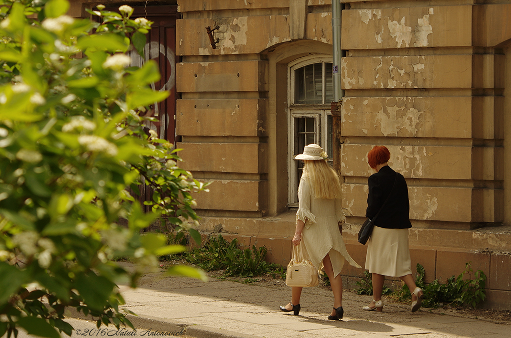 Album  "Image without title" | Photography image "Lithuania" by Natali Antonovich in Photostock.