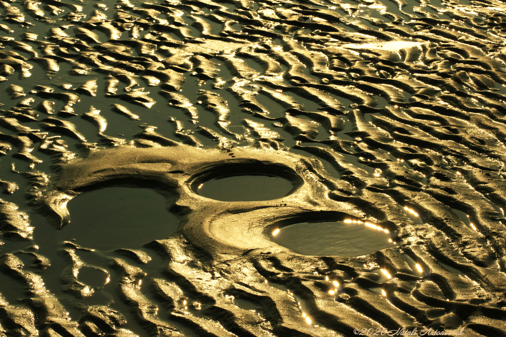 Album  "Image without title" | Photography image "Belgian Coast" by Natali Antonovich in Photostock.