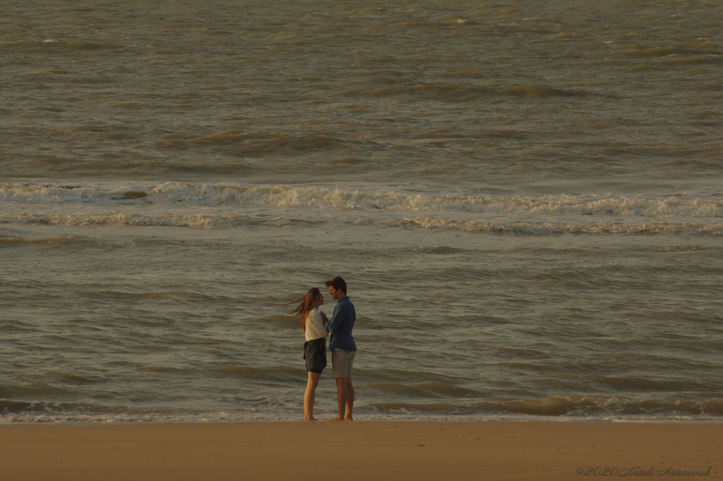 Album  "Image without title" | Photography image "Belgian Coast" by Natali Antonovich in Photostock.