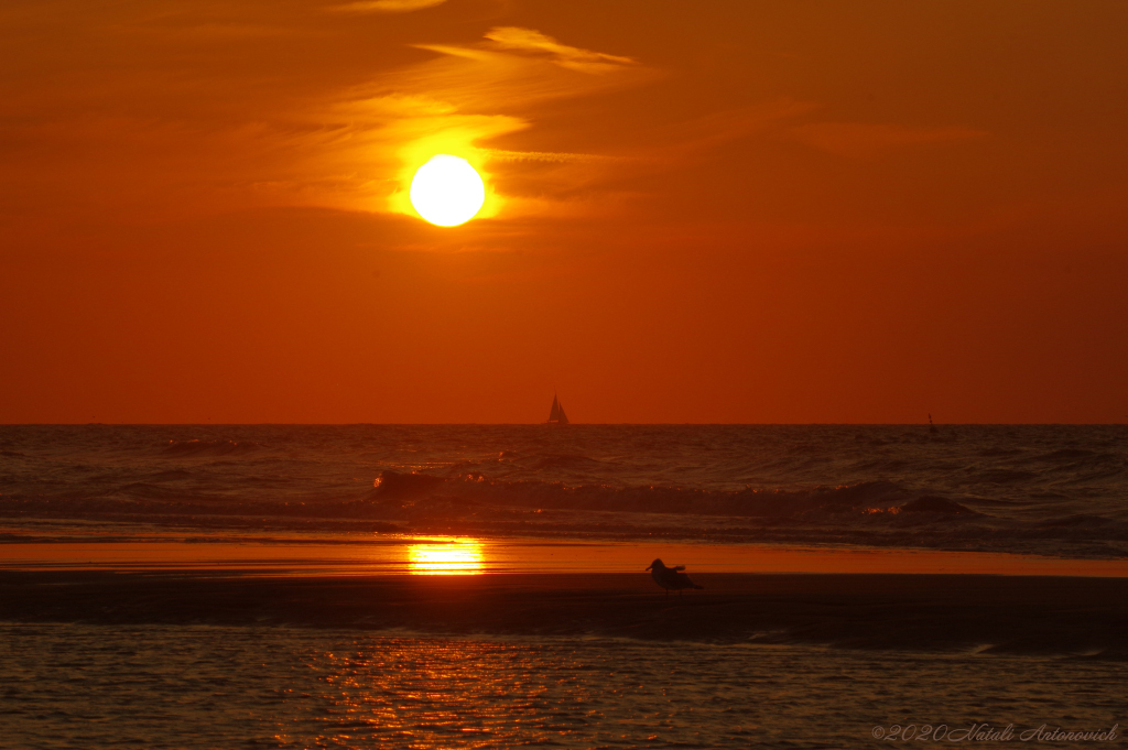 Album  "Image without title" | Photography image "Belgian Coast" by Natali Antonovich in Photostock.