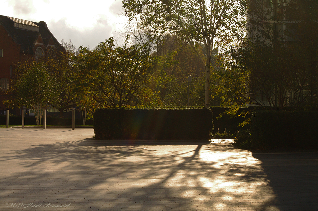 Image de photographie "Image sans titre" de Natali Antonovich | Photostock.