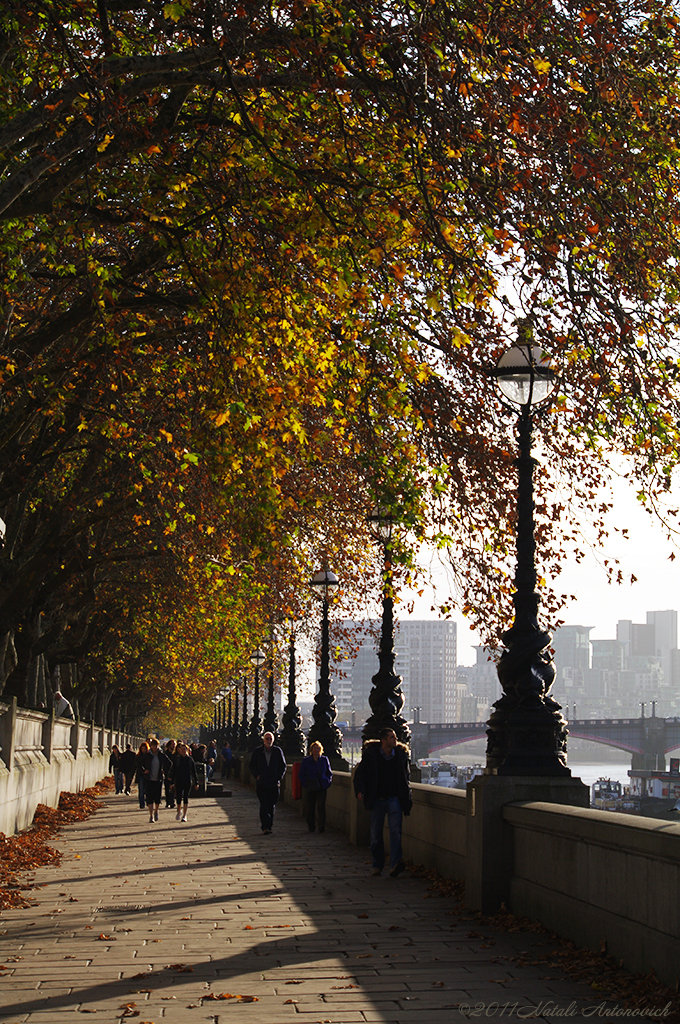 Album "Image sans titre" | Image de photographie "Automne" de Natali Antonovich en photostock.