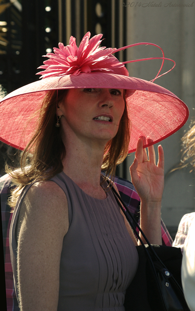 Album "Afbeelding zonder titel" | Fotografie afbeelding "Verenigd Koninkrijk" door Natali Antonovich in Archief/Foto Voorraad.