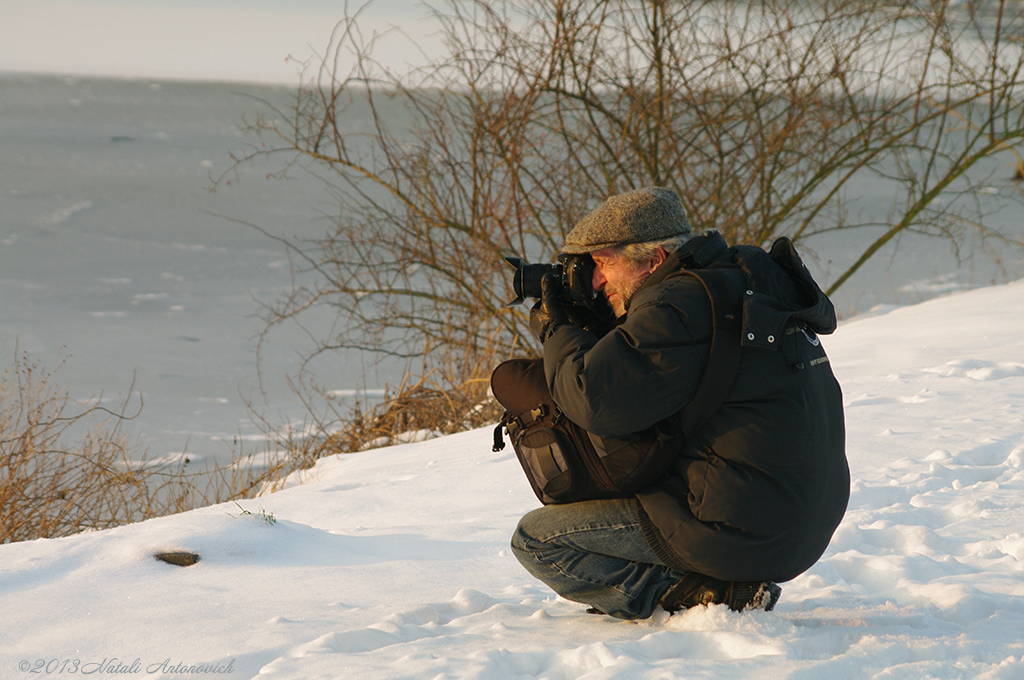 Album "Bild ohne Titel" | Fotografiebild "Winter. Weihnachtsferien" von Natali Antonovich im Sammlung/Foto Lager.