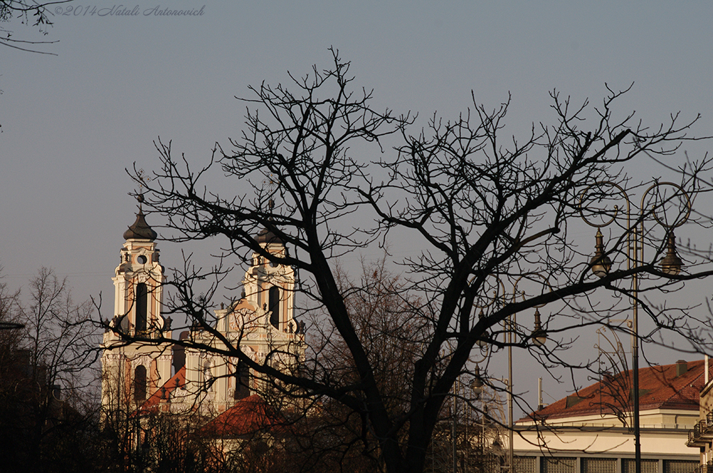 Album  "Image without title" | Photography image "Lithuania" by Natali Antonovich in Photostock.