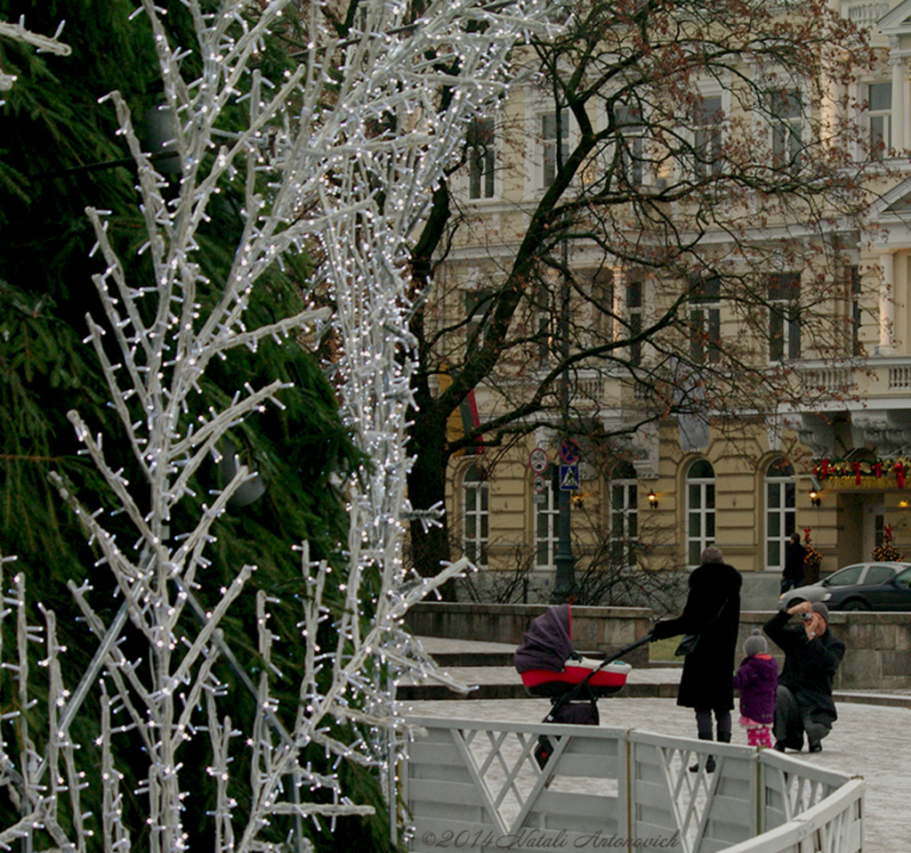 Album "Image sans titre" | Image de photographie "Hiver. Vacances de Noël" de Natali Antonovich en photostock.