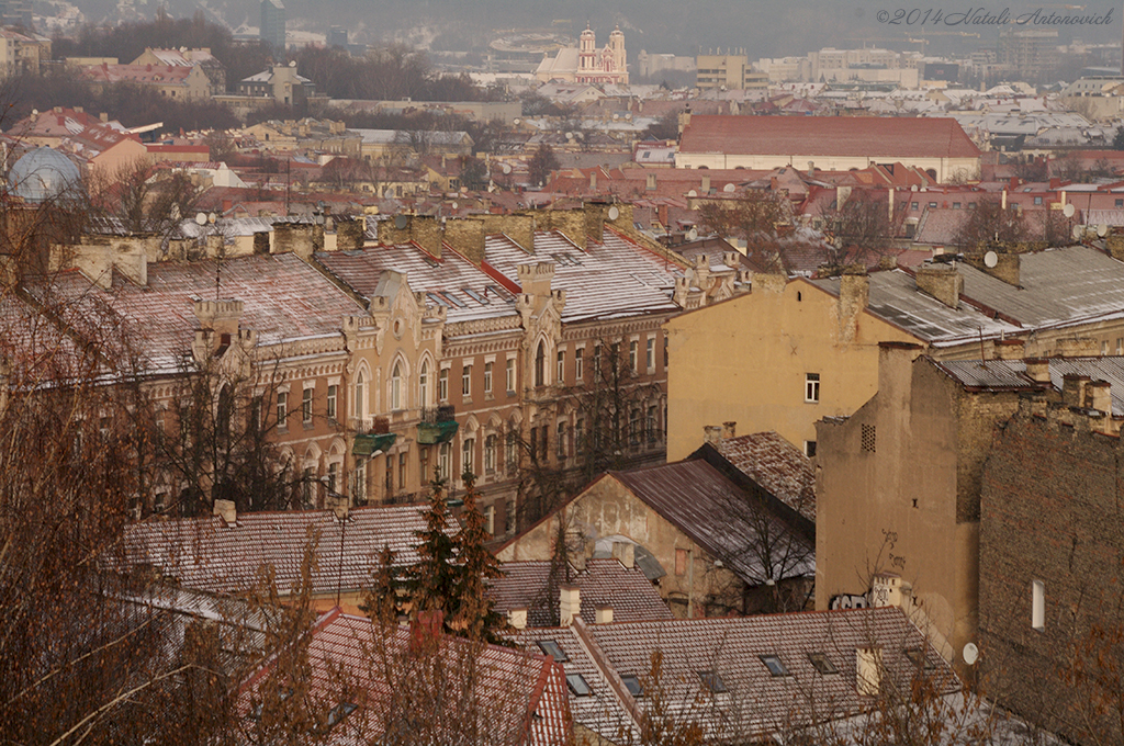 Album  "Image without title" | Photography image "Lithuania" by Natali Antonovich in Photostock.