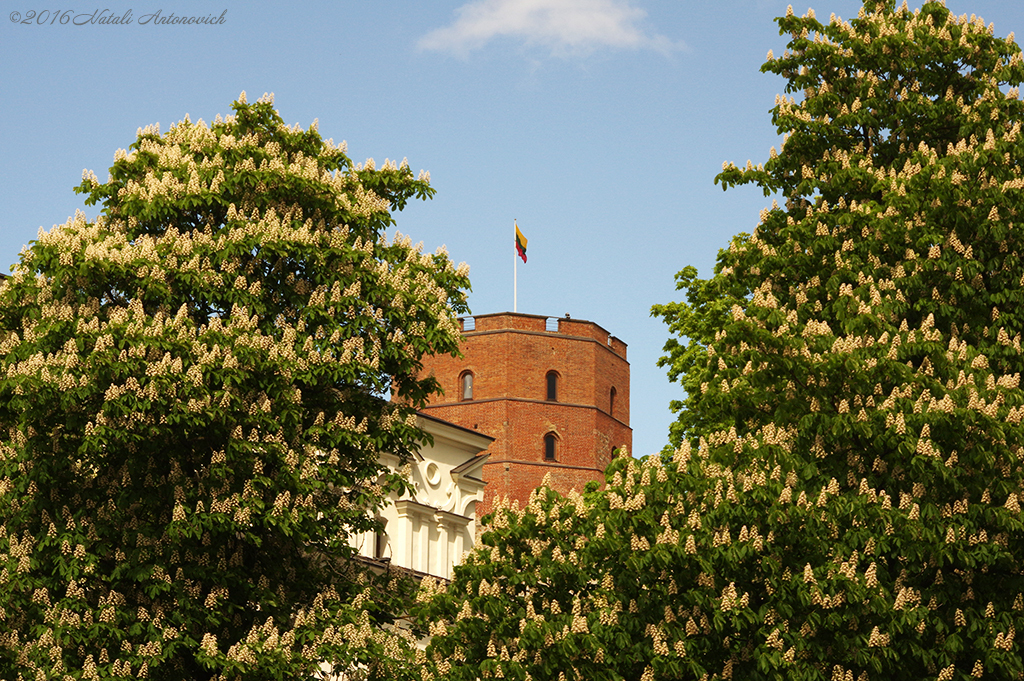 Album  "Image without title" | Photography image "Lithuania" by Natali Antonovich in Photostock.