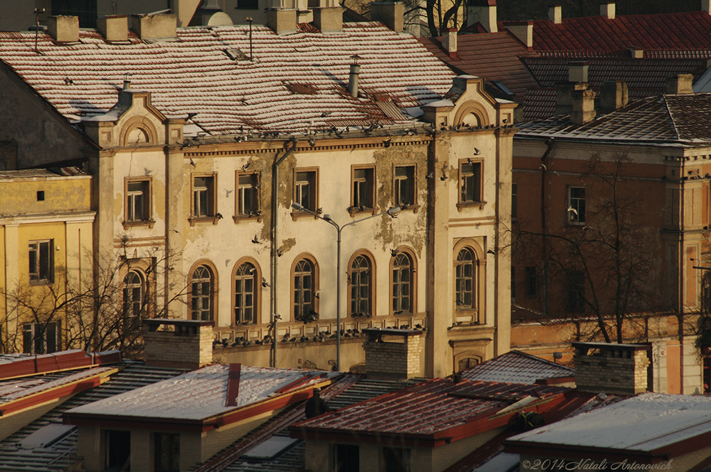 Фотография "Изображение без названия" от Натали Антонович | Aрхив/Банк Фотографий