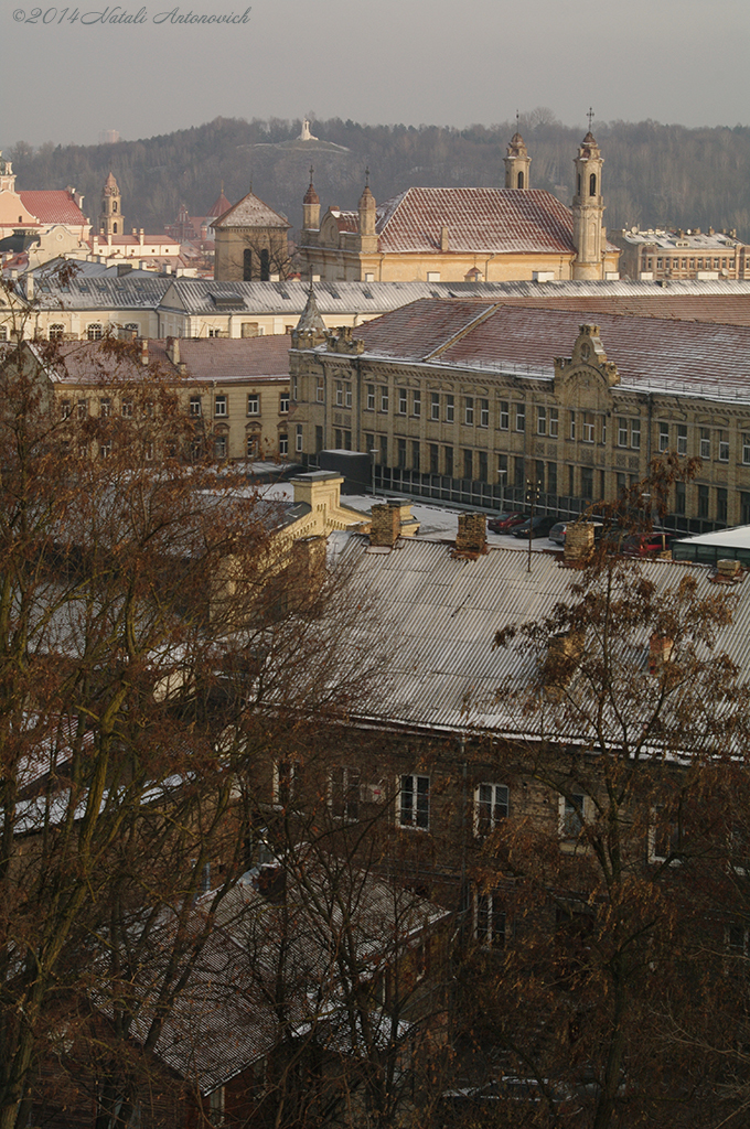 Album  "Image without title" | Photography image "Lithuania" by Natali Antonovich in Photostock.