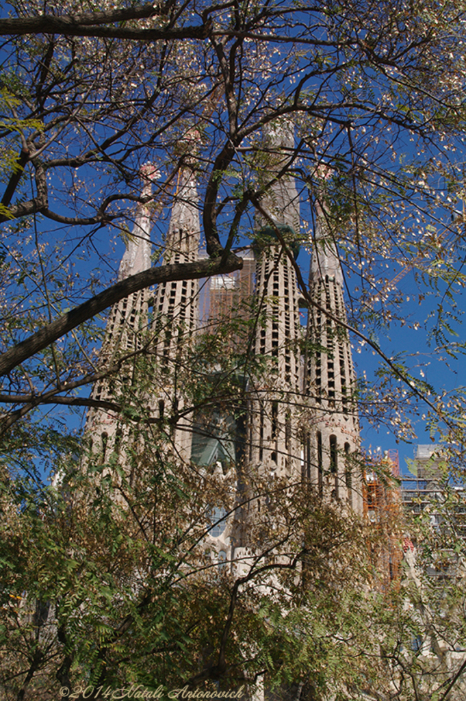 Album "Image sans titre" | Image de photographie " Barcelona" de Natali Antonovich en photostock.