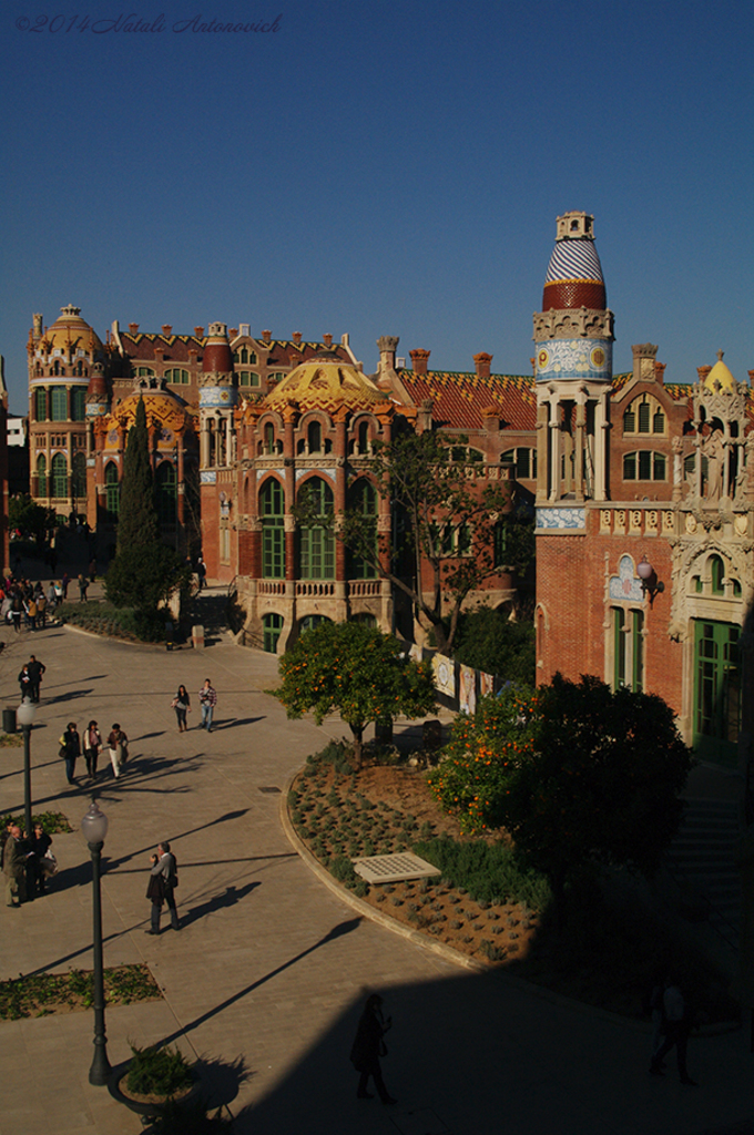 Album "Image sans titre" | Image de photographie " Barcelona" de Natali Antonovich en photostock.