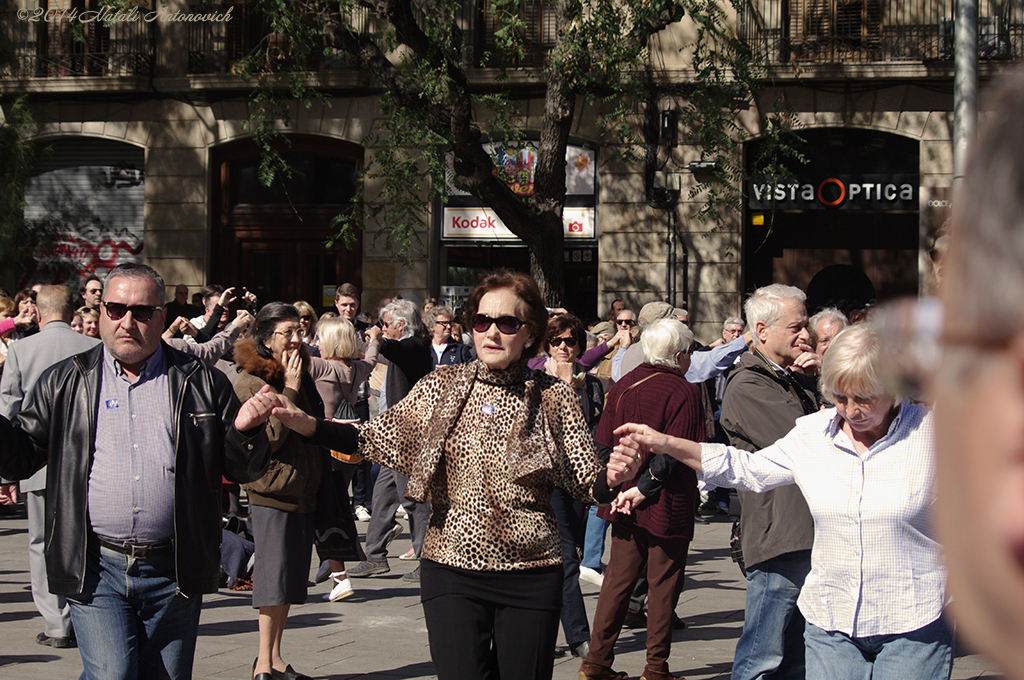 Album "Bild ohne Titel" | Fotografiebild " Barcelona" von Natali Antonovich im Sammlung/Foto Lager.