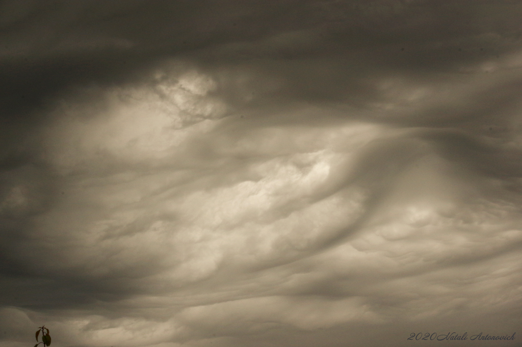 Album "Image sans titre" | Image de photographie "Celestial mood" de Natali Antonovich en photostock.