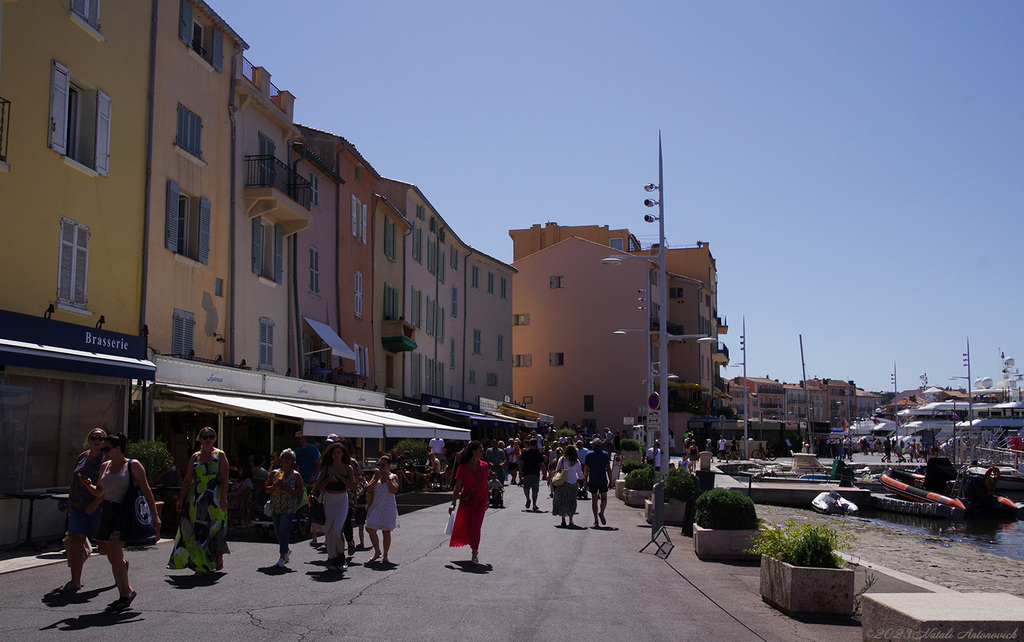 Album "Saint-Tropez" | Fotografiebild "Frankreich" von Natali Antonovich im Sammlung/Foto Lager.