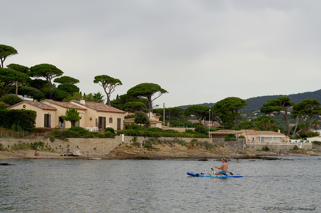 Album "Sainte-Maxime" | Fotografie afbeelding "Frankrijk" door Natali Antonovich in Archief/Foto Voorraad.