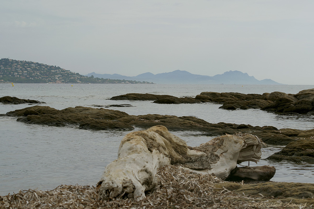 Album  "Sainte-Maxime" | Photography image "Parallels" by Natali Antonovich in Photostock.