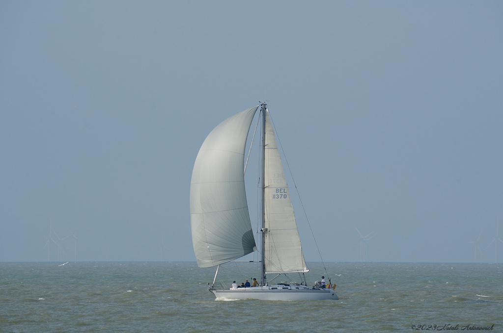 Album "Afbeelding zonder titel" | Fotografie afbeelding "Belgische Kust" door Natali Antonovich in Archief/Foto Voorraad.