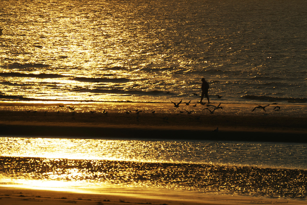 Photography image "Image without title" by Natali Antonovich | Photostock.