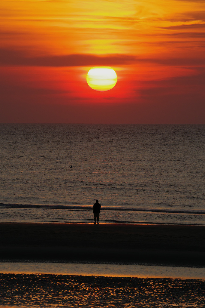 Photography image "Image without title" by Natali Antonovich | Photostock.