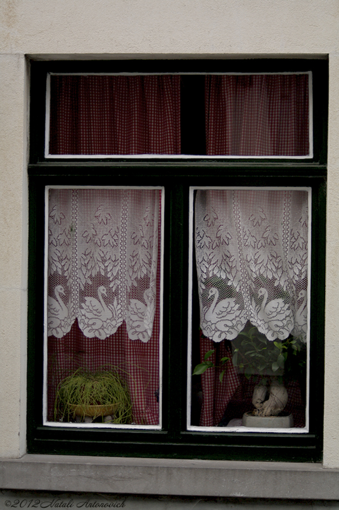 Album  "Image without title" | Photography image "Windows" by Natali Antonovich in Photostock.