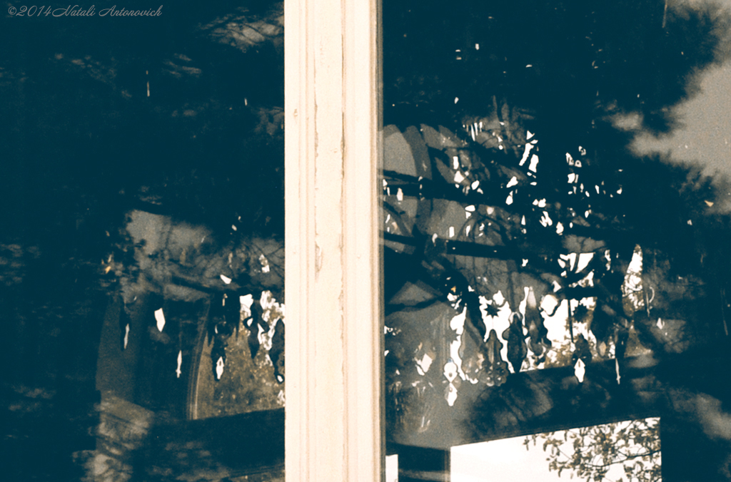 Альбом "Изображение без названия" | Фотография "Окна" от Натали Антонович в Архиве/Банке Фотографий