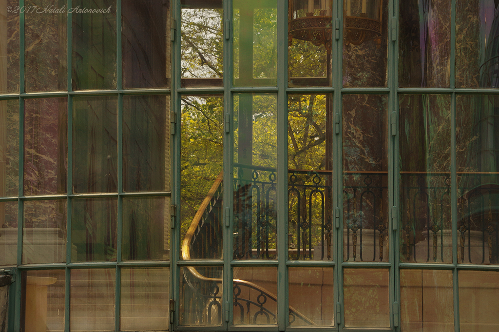 Album "Bild ohne Titel" | Fotografiebild "Fenster" von Natali Antonovich im Sammlung/Foto Lager.