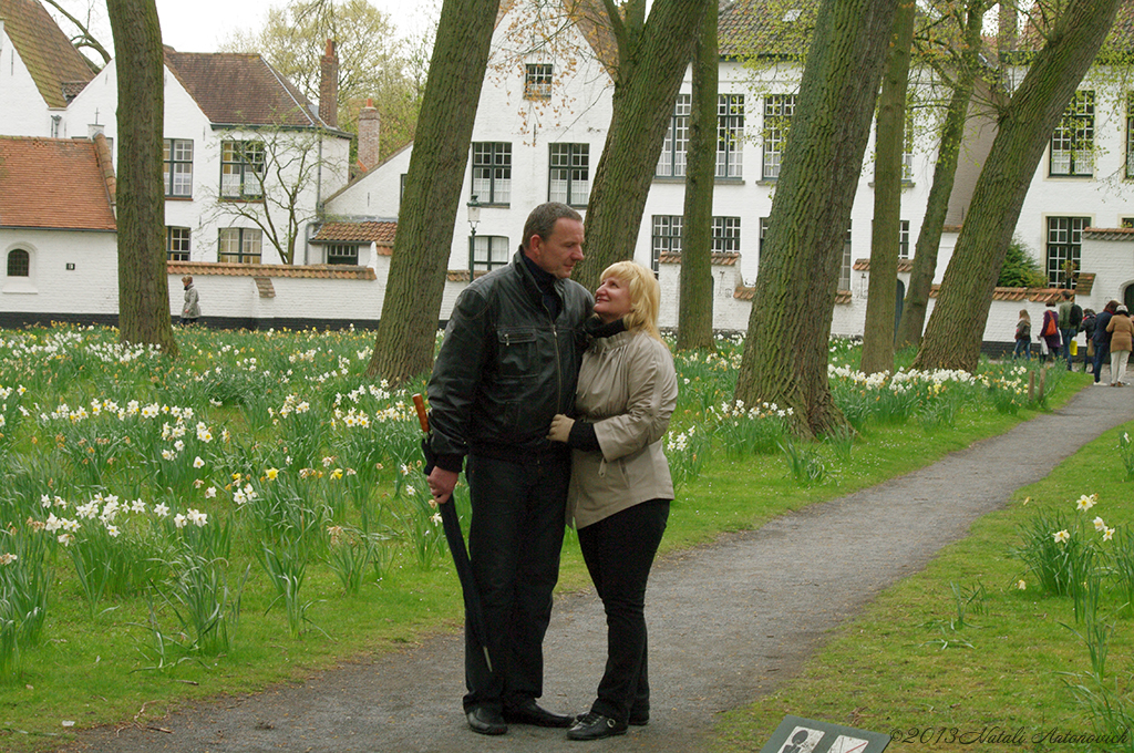 Album "Afbeelding zonder titel" | Fotografie afbeelding " Brugge" door Natali Antonovich in Archief/Foto Voorraad.