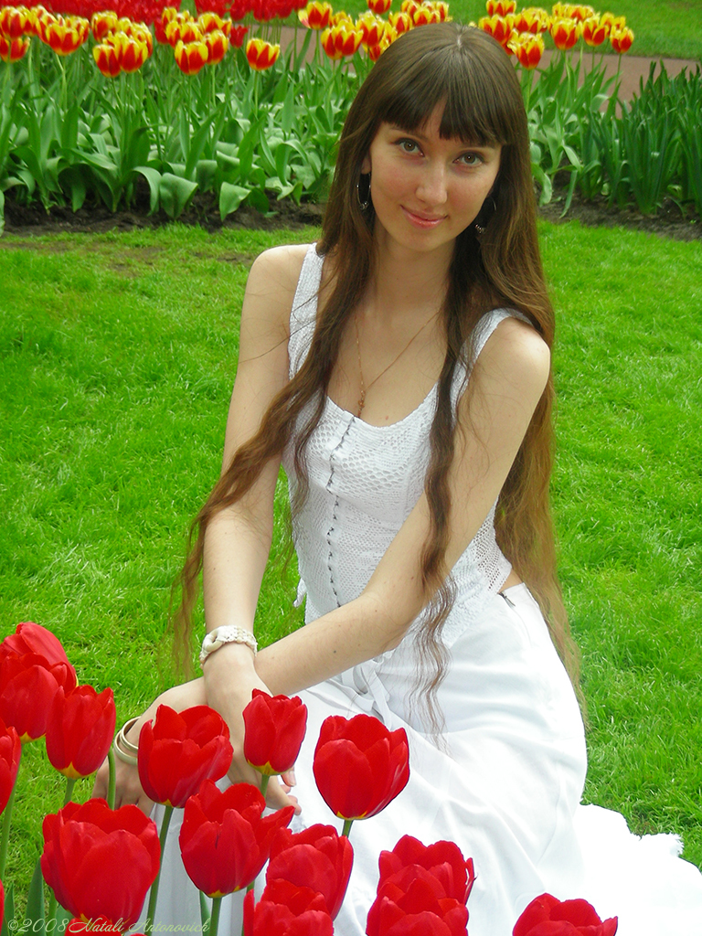 Album "Natalya Hrebionka" | Fotografiebild "Blumen" von Natali Antonovich im Sammlung/Foto Lager.