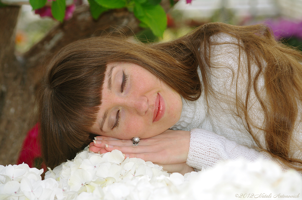 Album "Afbeelding zonder titel" | Fotografie afbeelding "Portret" door Natali Antonovich in Archief/Foto Voorraad.