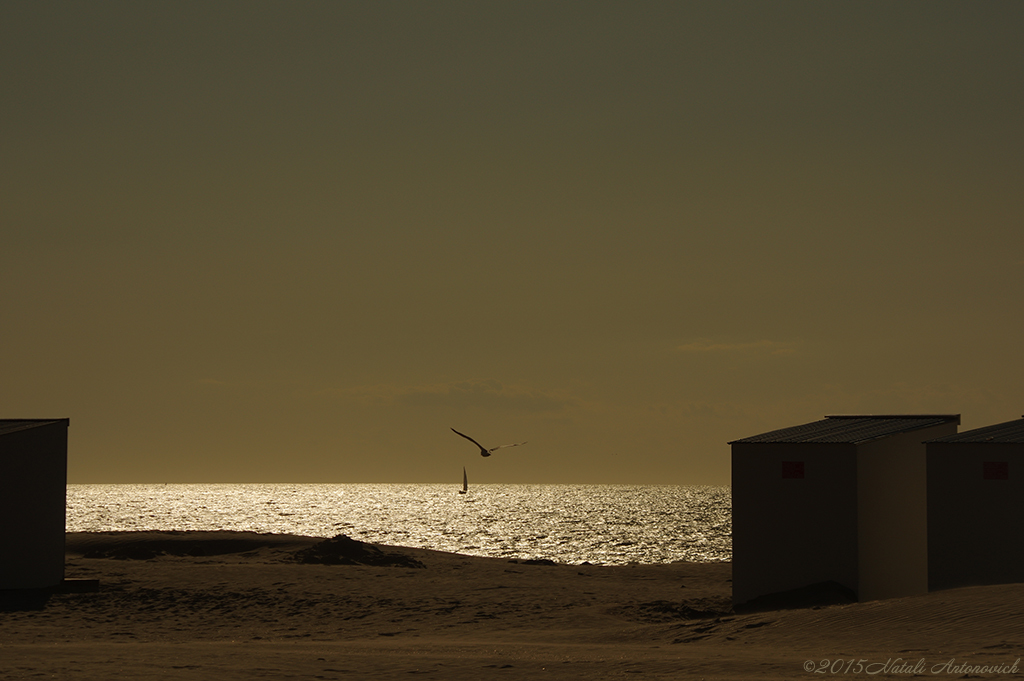 Image de photographie "Image sans titre" de Natali Antonovich | Photostock.