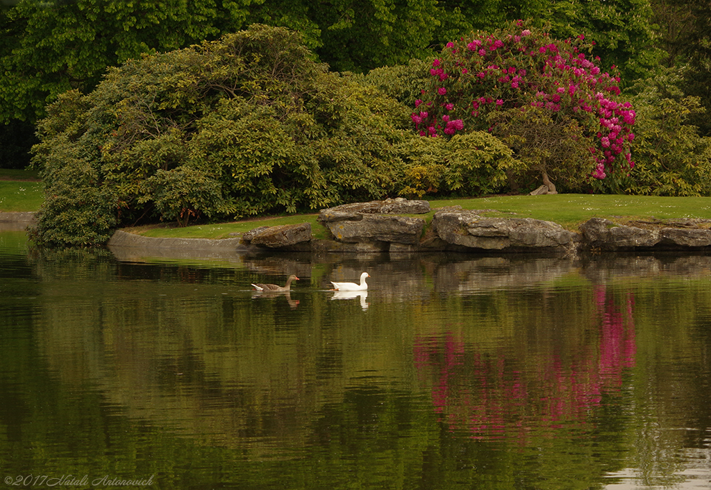 Image de photographie "Image sans titre" de Natali Antonovich | Photostock.