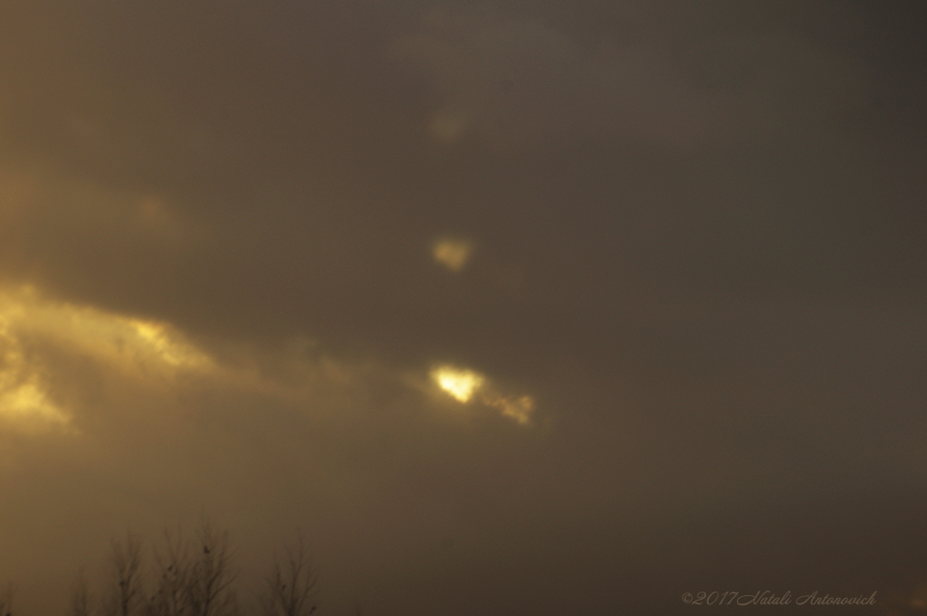 Photography image "Image without title" by Natali Antonovich | Photostock.