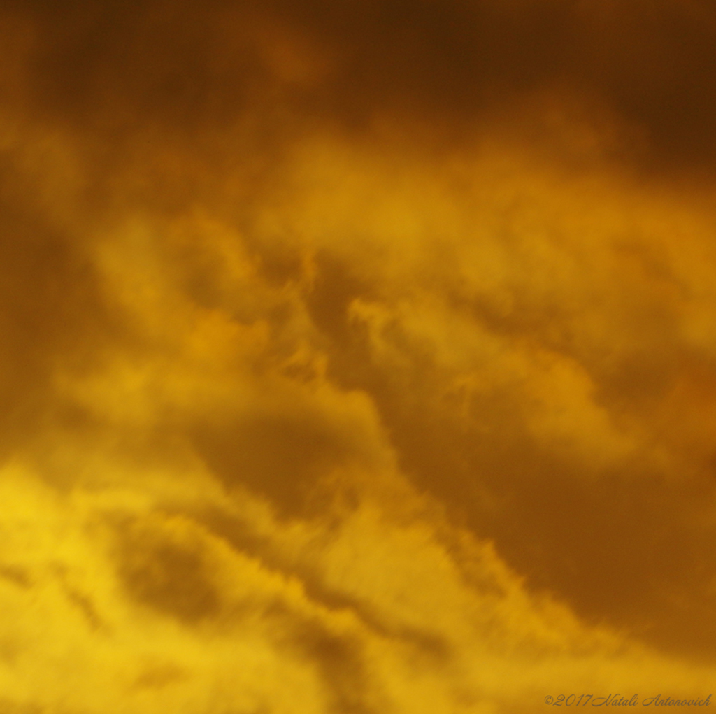 Photography image "Image without title" by Natali Antonovich | Photostock.