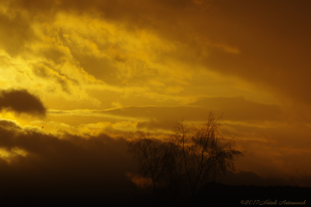 Album "Bild ohne Titel" | Fotografiebild "Celestial mood" von Natali Antonovich im Sammlung/Foto Lager.