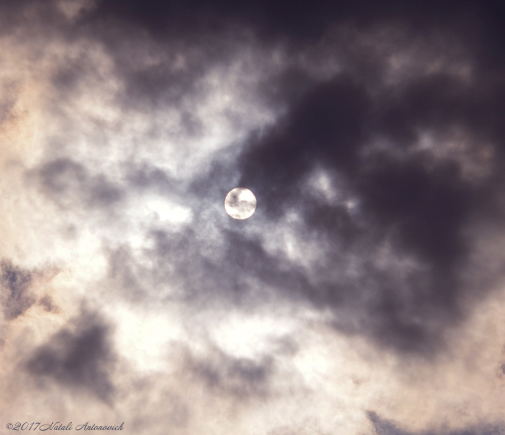 Album  "Image without title" | Photography image "Celestial mood" by Natali Antonovich in Photostock.