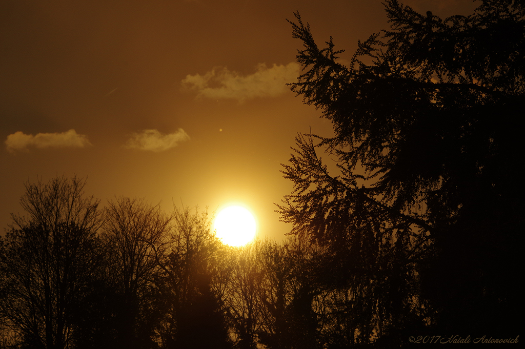 Album "Image sans titre" | Image de photographie "Celestial mood" de Natali Antonovich en photostock.